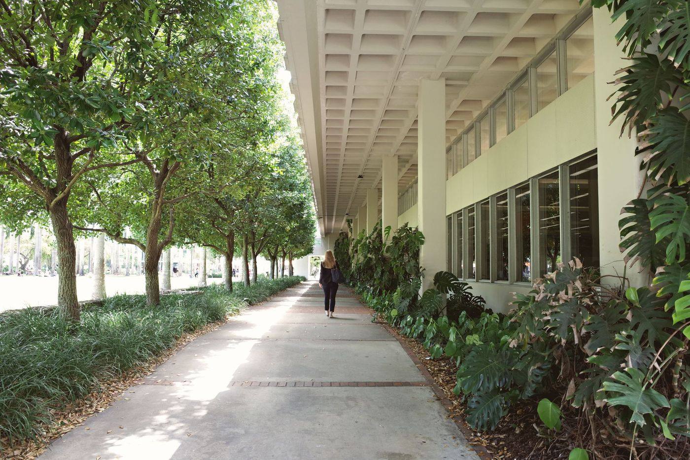 Map location near Árbol Communication Group in Coral Gables